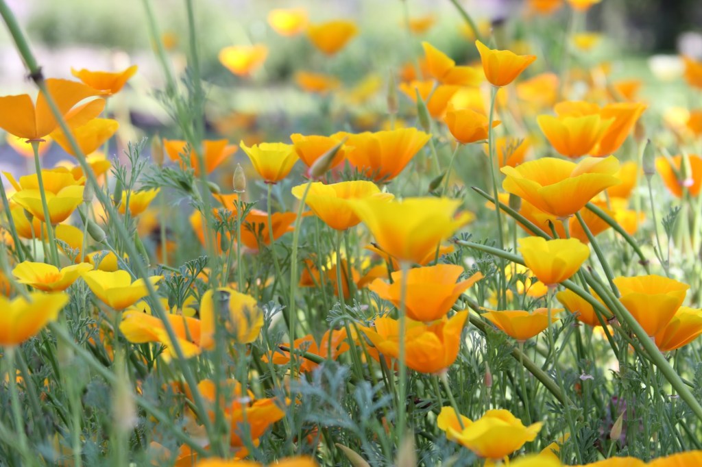 I Want to Be a Yoga&nbsp;Person