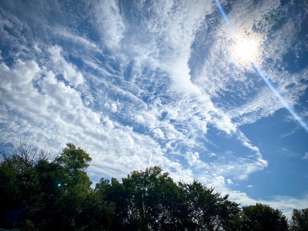 A Year of&nbsp;Change