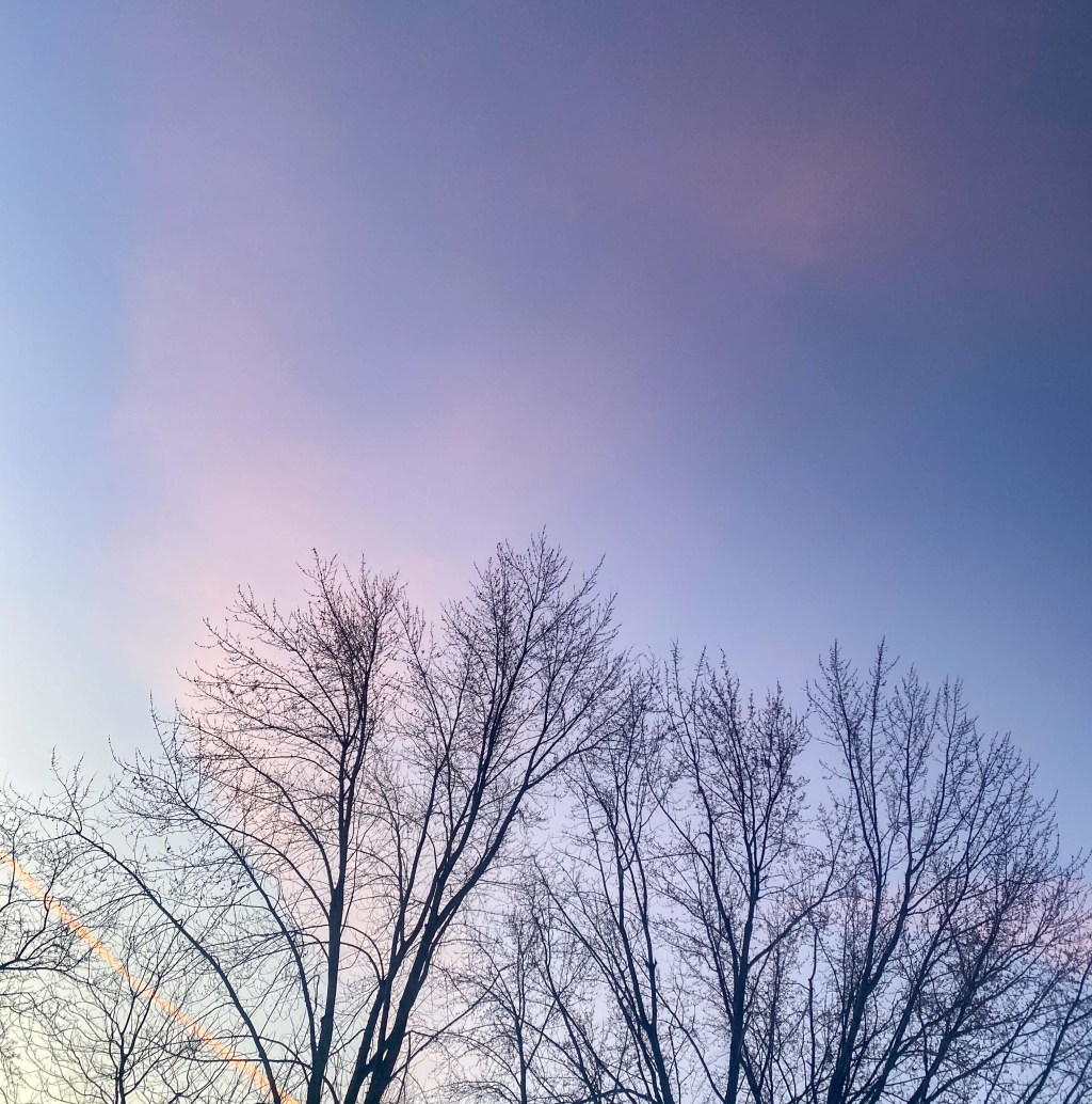 Podcast Reflection: Survival is a Creative Act