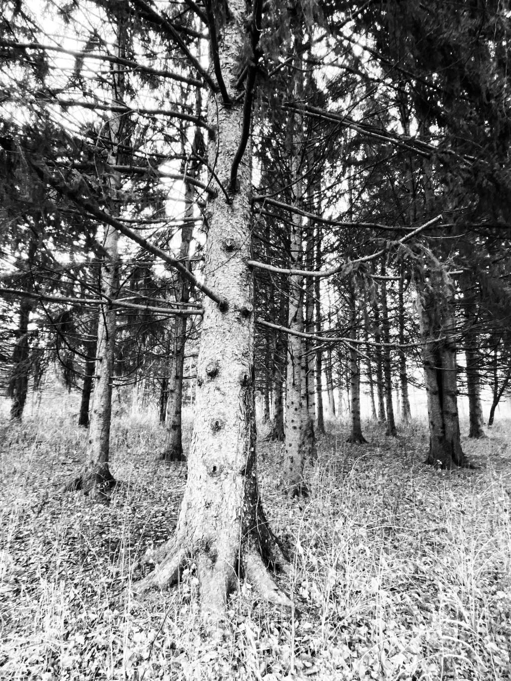 Maybe Now is Not the&nbsp;Time